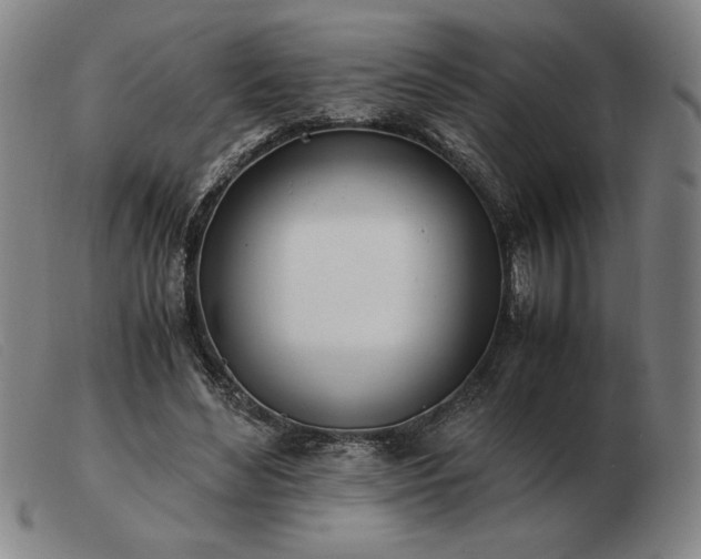 X0000103480492200809191902