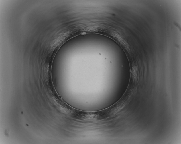 X0000103480493200809191902