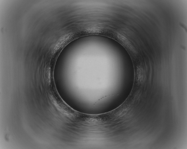 X0000103480494200809191902