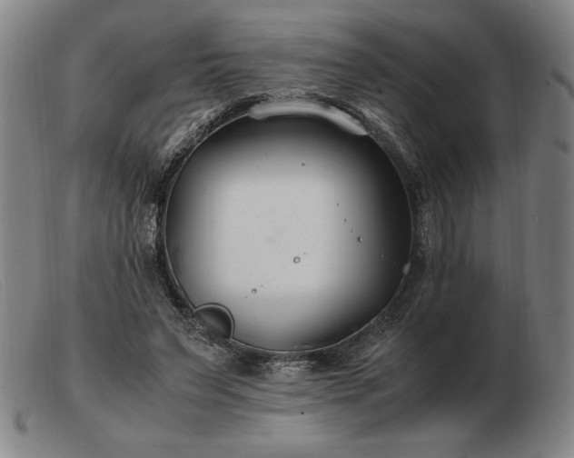 X0000103480495200809191902