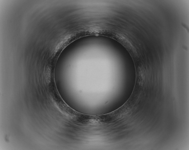X0000103480496200809191902