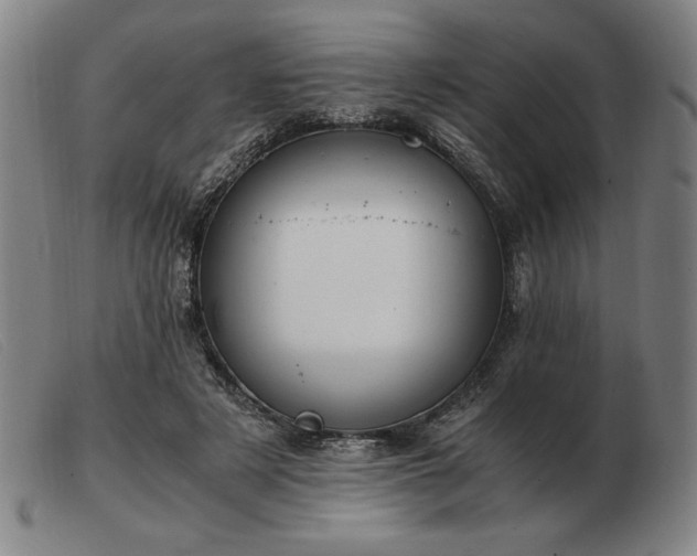 X0000103480497200809191902