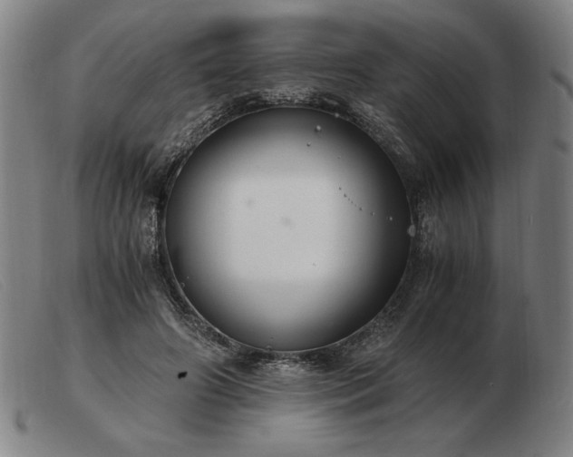 X0000103480498200809191902