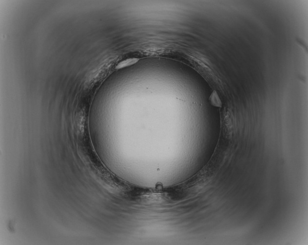 X0000103480499200809191902