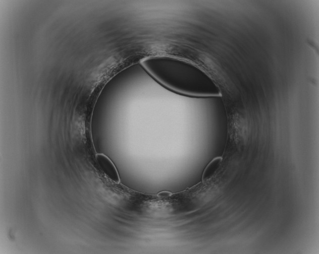 X0000103480500200809191902