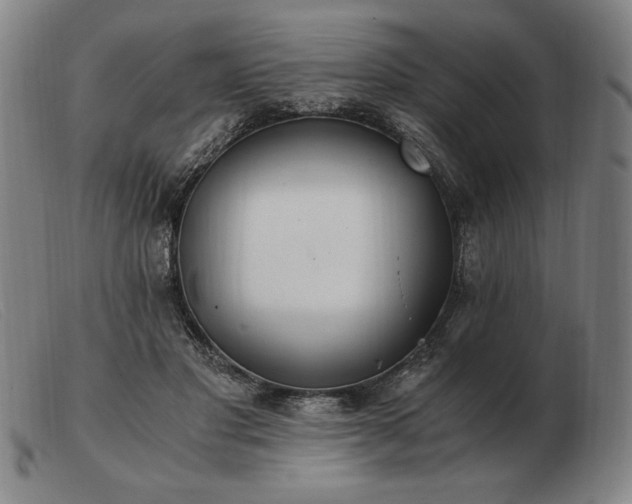 X0000103480501200809191902