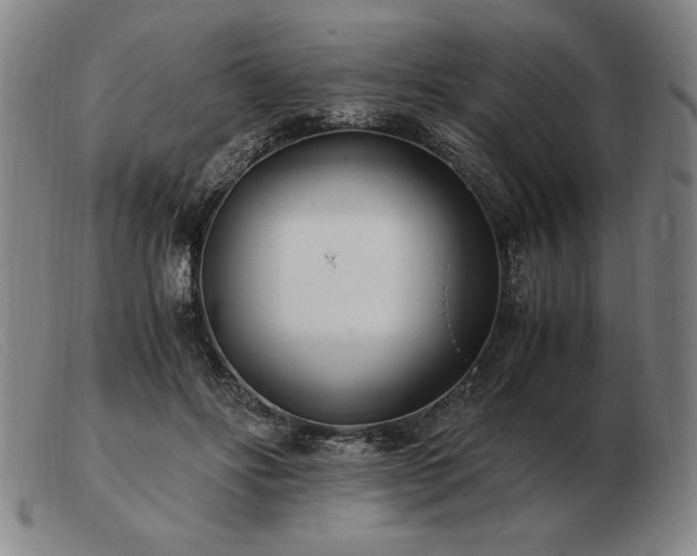 X0000103480502200809191902