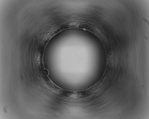 X0000103480504200809191902