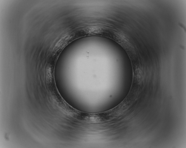 X0000103480506200809191902