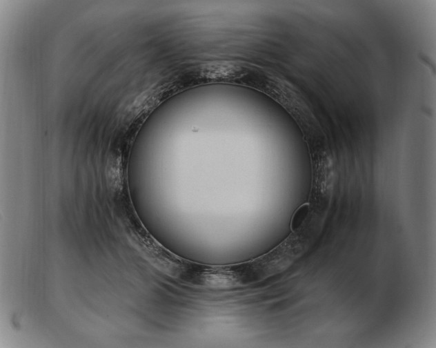 X0000103480510200809191902
