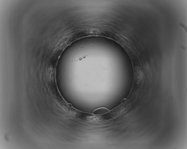 X0000103480511200809191902