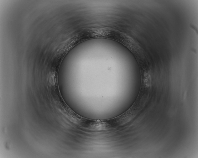 X0000103480514200809191902
