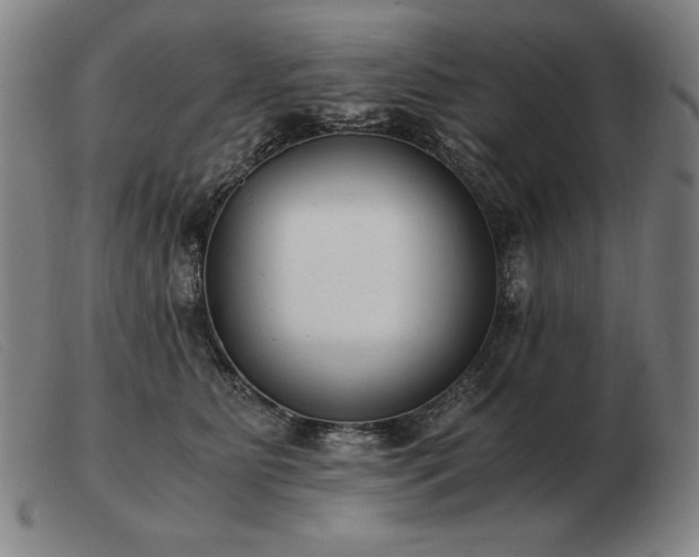 X0000103480515200809191902