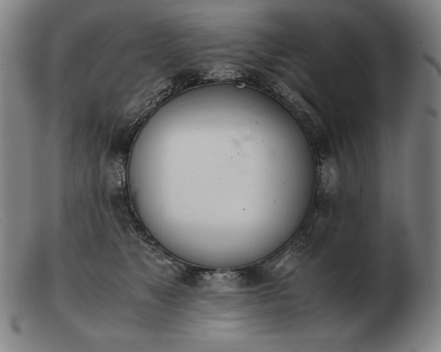 X0000103480517200809191902