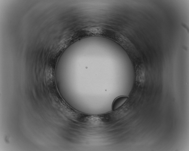 X0000103480518200809191902