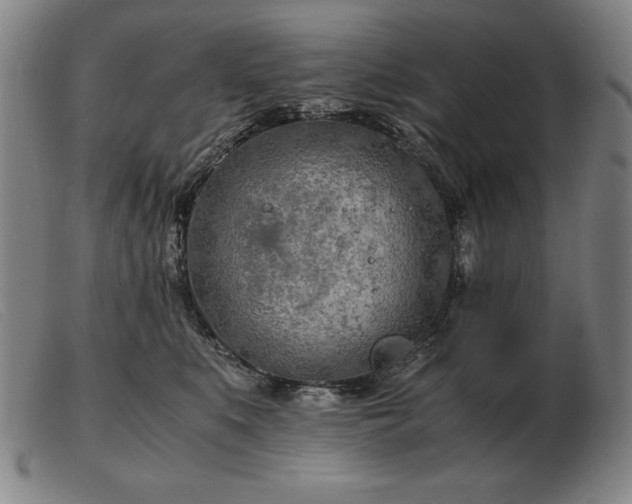 X0000103480519200809191902