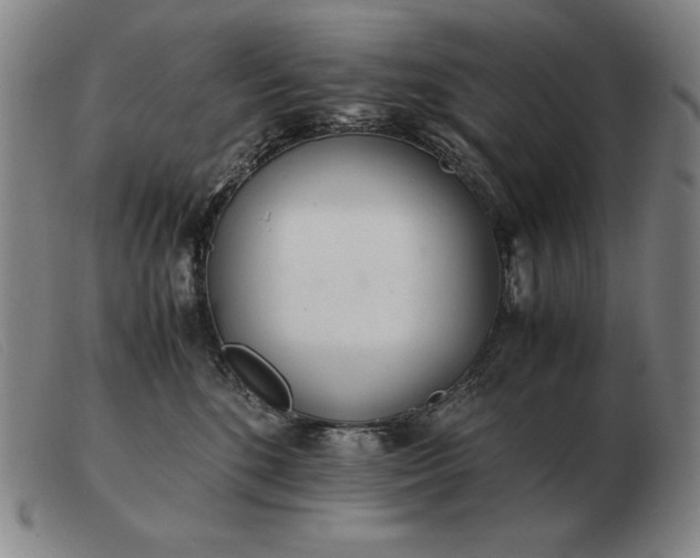 X0000103480520200809191902