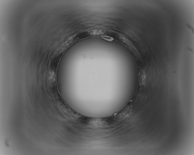X0000103480521200809191902