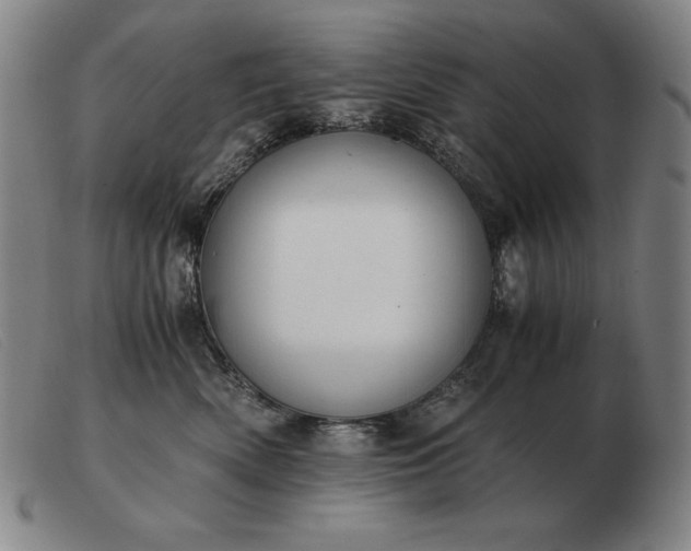 X0000103480522200809191902