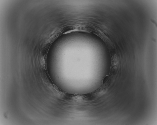 X0000103480523200809191902