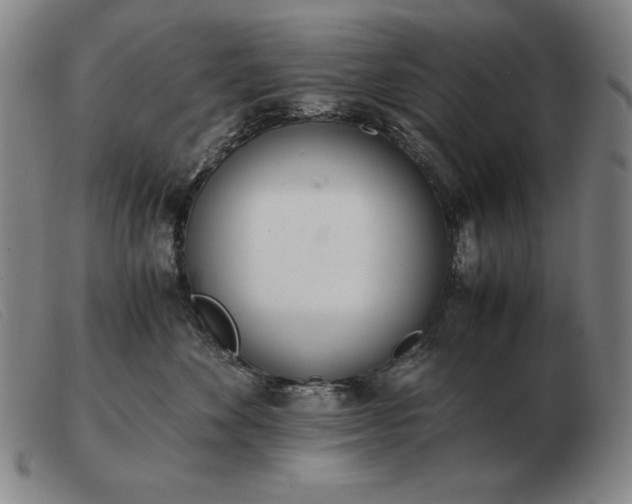 X0000103480524200809191902