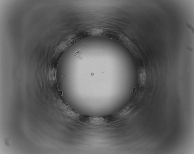 X0000103480525200809191902