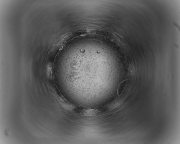 X0000103480527200809191902