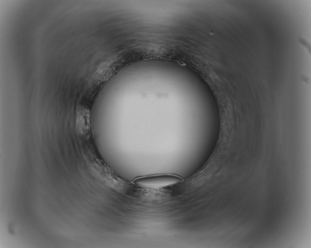 X0000103480528200809191902
