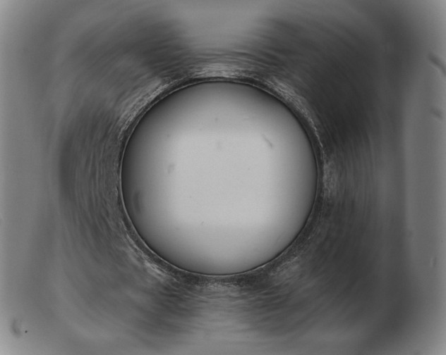 X0000103480529200809191901