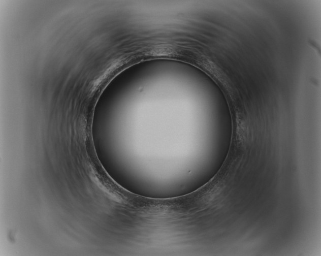 X0000103480530200809191901