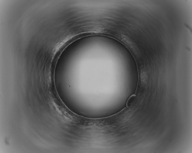 X0000103480532200809191901