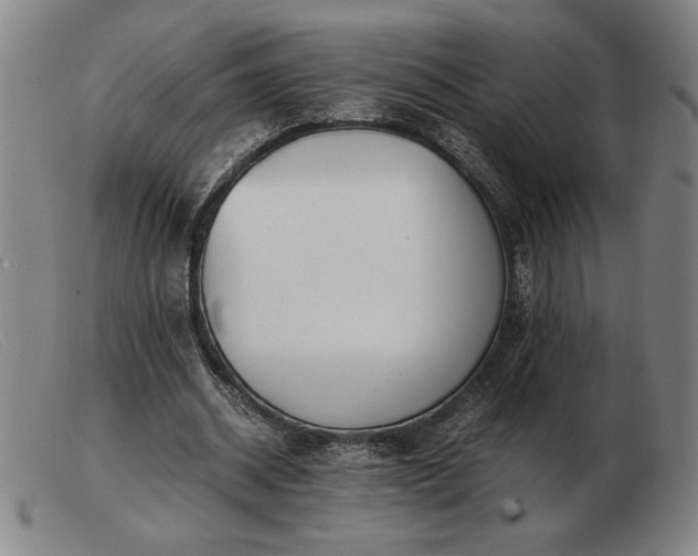 X0000103480534200809191901