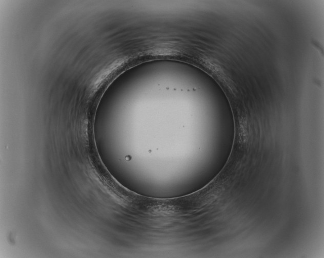X0000103480535200809191901