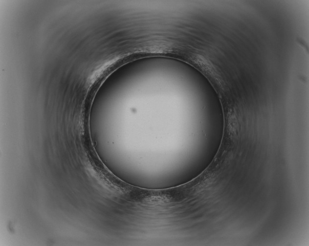 X0000103480536200809191901