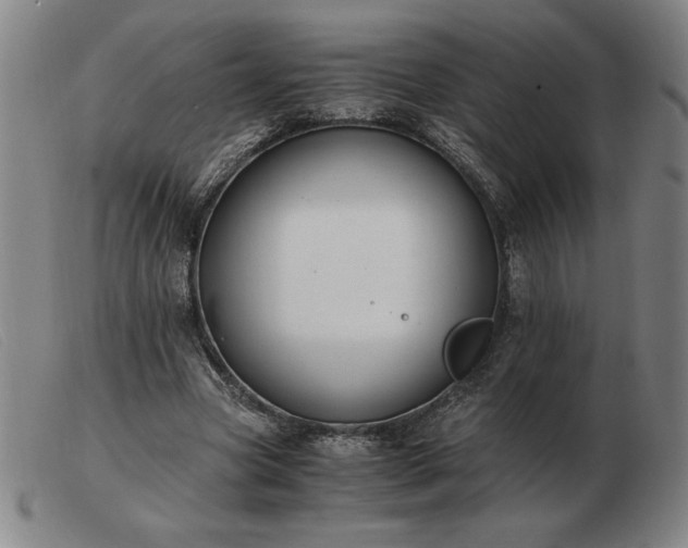 X0000103480537200809191901