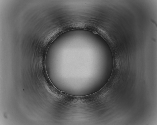 X0000103480538200809191901
