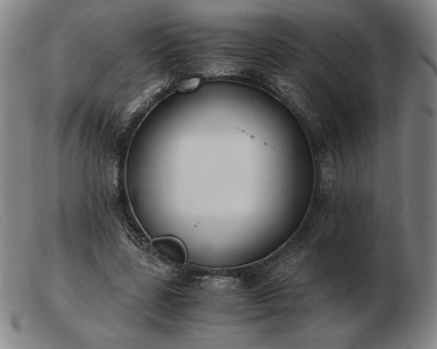 X0000103480539200809191901