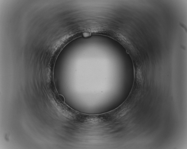 X0000103480540200809191901