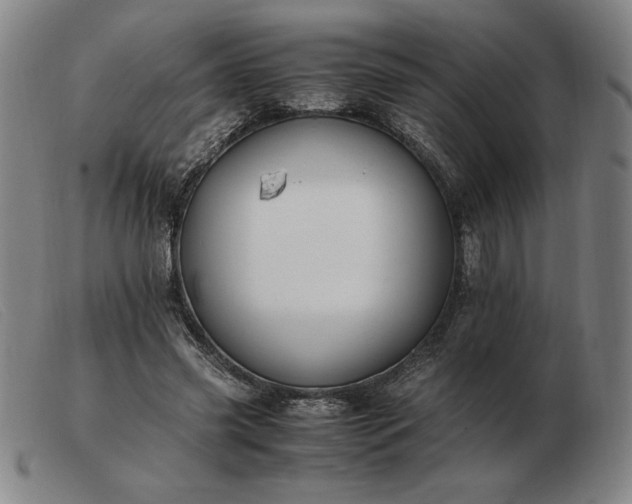 X0000103480541200809191901