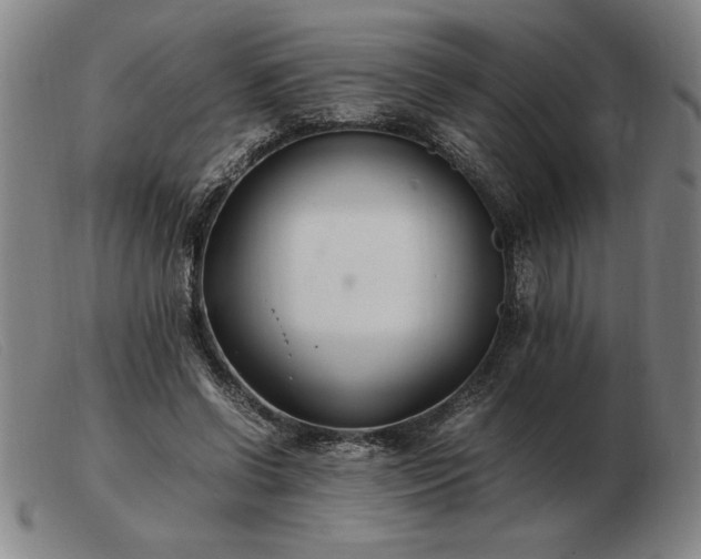 X0000103480542200809191901