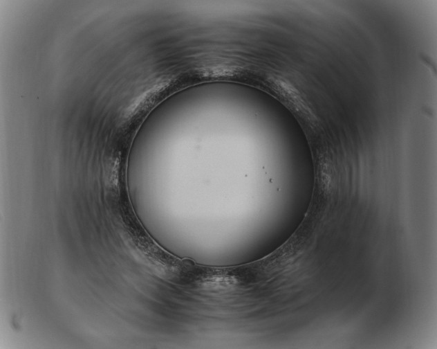 X0000103480543200809191901