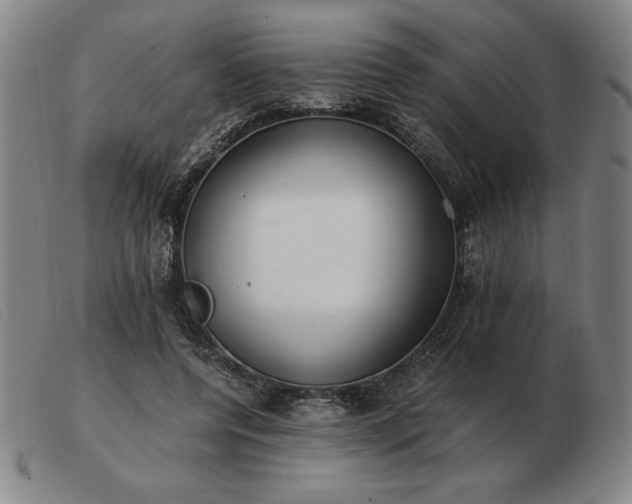 X0000103480544200809191901