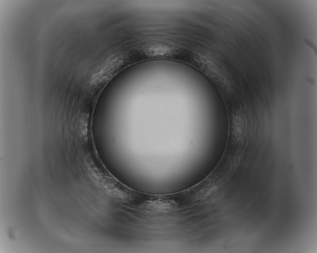 X0000103480545200809191901