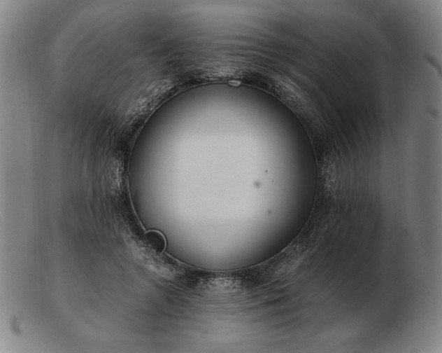 X0000103480546200809191901