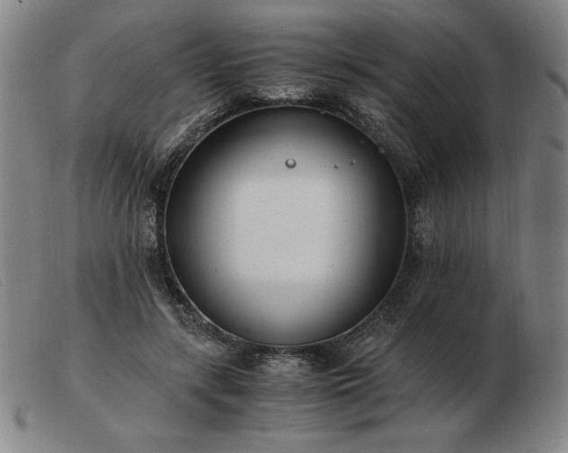 X0000103480547200809191901
