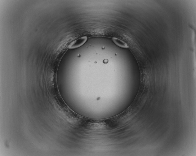 X0000103480548200809191902