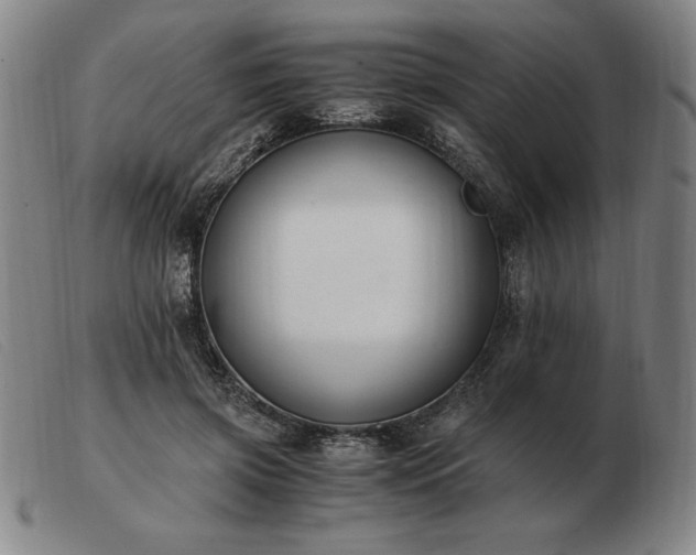 X0000103480549200809191902