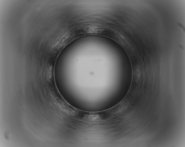 X0000103480554200809191902
