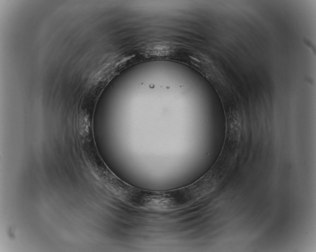 X0000103480555200809191902