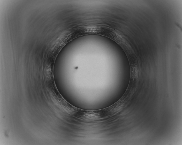 X0000103480557200809191902